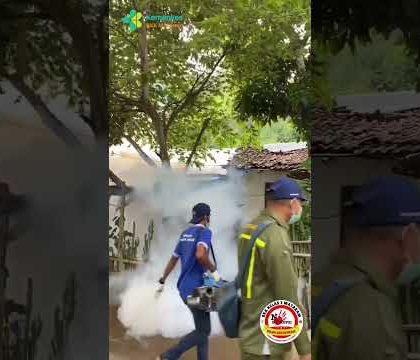 Video Kegiatan Fogging wilayah Kerja Pelabuhan Lembar